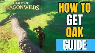 Runescape Dragonwilds &mdash; Как получить дубовые брёвна | Расположение дубов и требования к топору