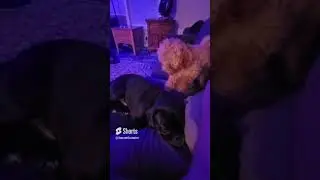 Marty wants to play right now and jeff does not want to