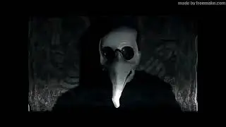 Birdman  Pirate