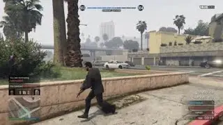 Grand Theft Auto V :  Handy shot