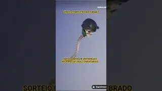 NOVA PICARETA BATEDOR VERTEBRADO NO FORTNITE  ITENS GR&Aacute;TIS CAP 7