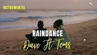 Raindance - Dave x Tems [Official Instrumental]
