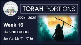 Часть Торы, неделя 16 &mdash; Исход 13:17 &mdash; 17:16 (2-й Исход огнем) 2024&ndash;2025 гг.