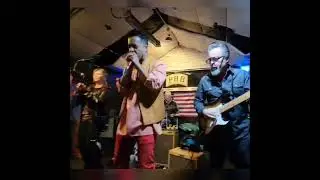 Aki Kumar - Amplified Blues Harmonica Shuffle Solo