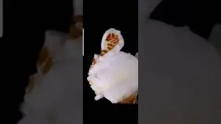 Rarest popcorn flip in the world💯 #popcorn #food #shorts #viral