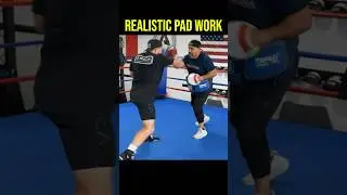 How PRO Coaches Use Boxing Mitts!