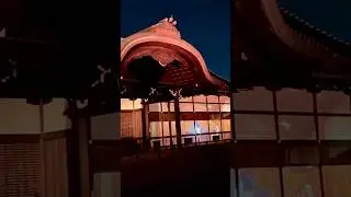 二条城、本丸御殿のマッピング、京都　Nijo Castle,Kyoto #japanesecastle #kyoto #nightview #nijo #二条城 #京都 #マッピング #ライトアップ
