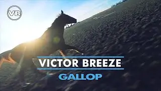 ✔️Victor Breeze ~ Gallop [Fast Piano Music ♪ Beautiful Horse Running]