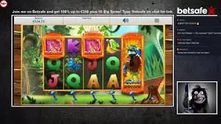 Wild Antics - BIG WIN!