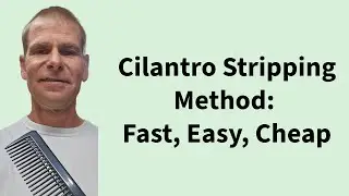 Cilantro Stripping Method - Easy, Fast, Cheap