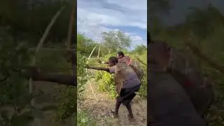 &ldquo;How a Cheetah Reacts to Movement in the Jungle | Wildlife Observation&rdquo;