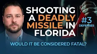 Florida Deadly Missile Law: Stand Your Ground and Criminal Defense Strategies