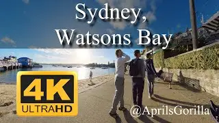 Sydney Watsons Bay Walk | POV | 4K #sydney #australia