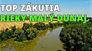 🇸🇰 Krásne zákutia rieky Malý Dunaj, trasa i pre rodiny s deťmi (Lužné lesy Dunaja) |4K|