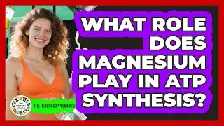 What Role Does Magnesium Play In ATP Synthesis? - The Health Supplement Hub