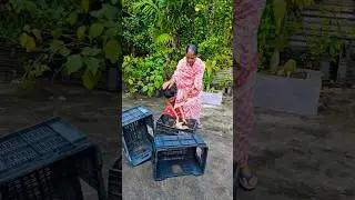 Baby run to rescue little kittens/ trapped kitten rescue video/ grandmother helped me