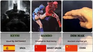 Deadliest Martial Arts in Comparison, Ranked by Number of Death 2023