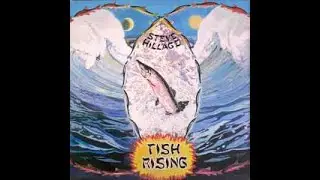 Steve Hillage - Solar Musick Suite #progressiverock