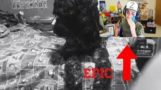 Saddest Video of all Time (you will cry) EPIC