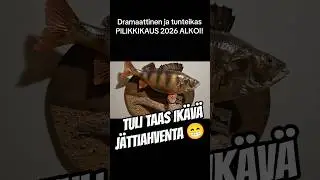 #Pilkill&auml; #Monsterit muistetaan IKUISESTI 🫶