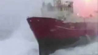 Utopia Now -The Sailor