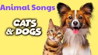 Funny Little Zoo (Animal Songs) #animalsongs #kidssongs #seaanimals