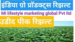 Mi lifestyle marketing agro products results 