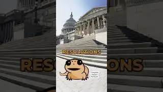 Congress Activity Report | October 16th