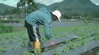 PETANI ITU HARUS SEJAHTERA, INI BUKAN HANYA BISNIS
