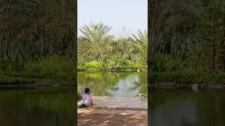 One Young Kham Farm ไร่ วัน ยัง ขำ บ้านมหาราช Tambon Chan Yai, Kantharalak, Si Sa Ket, Thailand 🇹🇭
