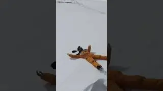 #fyp #wild #snow #nature #adventure #pakistan #enjoy #beauty #viral #travel #gilgitbaltistan #like
