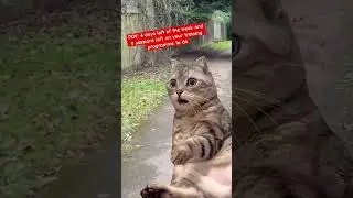 EEEK not enough week left!#running #funny #meme #catmeme #funnycat #ukrunning #funnycats