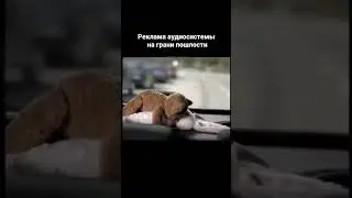 Дааа, да да😄