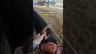 Mastering Horse Bit Mechanics: The Santa Barbara Cheek Piece