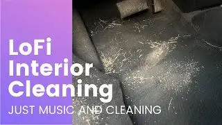 Lofi Interior Cleaning | Dodge Status