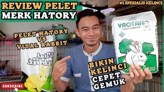 REVIEW Pelet Kelinci HATORY : Pelet yang bikin KELINCI CEPAT GEMUK #pakankelinci #gasarabbits