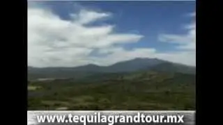 video tequila3