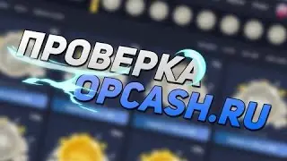 Кейсы Шапика и Мартыненко. Миллион на opcash.