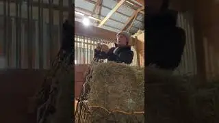 Hay bag 101