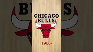 Chicago Bulls Logo History #nba #shorts