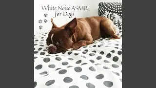 ASMR for Dogs