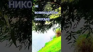 ТОТ КТО РАЗ ПРЕДАЛ..|НИ ШАГУ НАЗАД#tiktok#любовь#youtuberlikes#viralshort#люди#love#life#viralshort