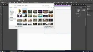 Adobe Muse CC 2016 - Split Screen