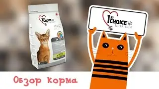 Обзор корма 1st Choice Cat Adult Hypoallergenic