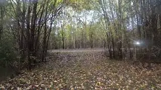 Bushcraft