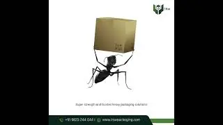 Say goodbye to heavy-duty packaging worries with the unbeatable reliability of TSW Packaging!