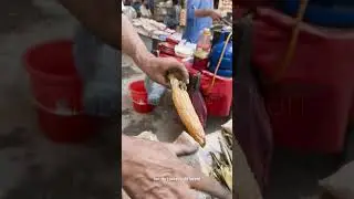 Pakistani Traditional Food Seed Corn 🌽 Best Local Street Food Amazing Cheapest
