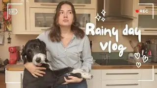Simple brownie recipe & rainy day mini vlog !!