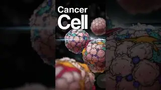 Did you know these 3 Cancer-Fighting Foods You Need to Know About (Proven by Science) #cancer