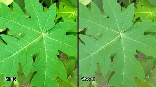 Mi a3 Camera Test Vs Vivo s1 Camera Overview | Review | USA | India | China |